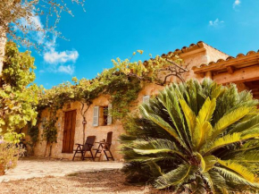 Finca Sa Moleta Nova